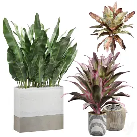 Interior flower pack